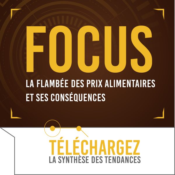 Focus # 8 – La flambée des prix alimentaires et ses conséquences